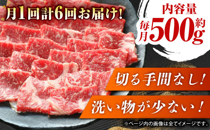 【6回定期便】GI認証 くまもとあか牛 焼肉用 約500ｇ【山鹿市（桜屋）】 [ZBO063]