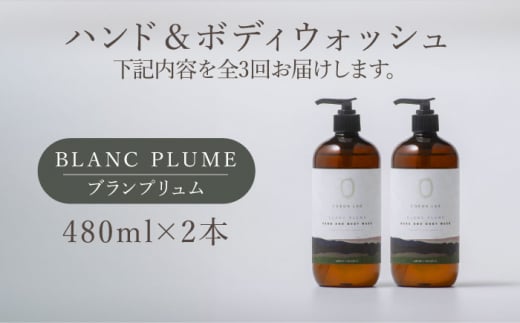 【全3回定期便】COKONLAB ハンド＆ボディウォッシュ ブランプリュム480ml×2本【株式会社 あつまるホールディングス NSP山鹿工場】 [ZBR021]