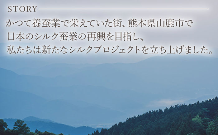 【全6回定期便】やまがシルク米 5kg【株式会社 あつまるホールディングス NSP山鹿工場】 [ZBR041]
