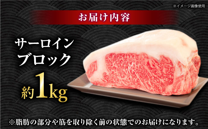 くまもとあか牛 サーロイン ステーキ ブロック肉 約1kg【有限会社スイートサプライなかぞの】 [ZBV054]