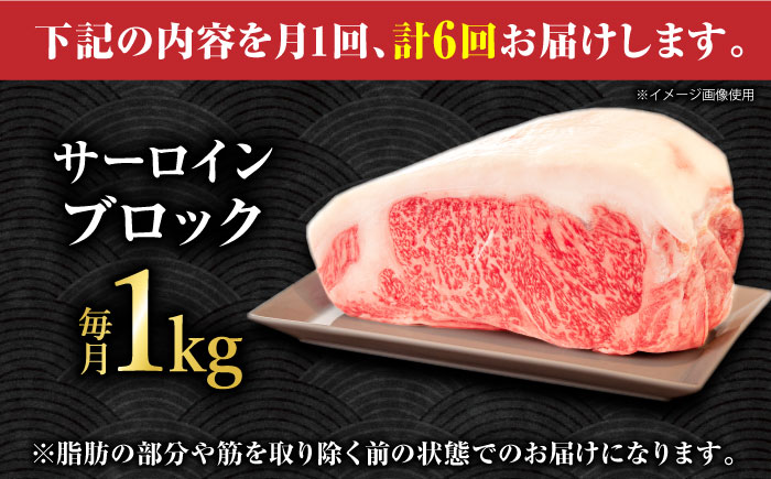 【6回定期便】くまもとあか牛 サーロイン ステーキ ブロック肉 約1kg【有限会社スイートサプライなかぞの】 [ZBV061]