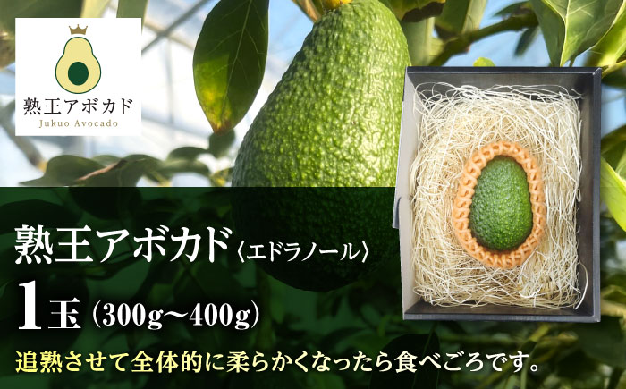 【期間限定】 希少！ 熟王アボカド 「エドラノール」　 1玉（300～400g）　【Nature’s Butter Farm Nakazono】 [ZBV080]