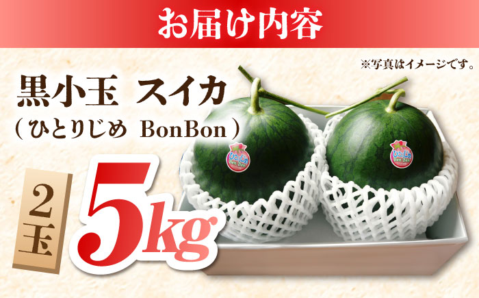 【先行予約】黒小玉 スイカ (ひとりじめ BonBon) 2玉 計約5kg【岡山農園】 [ZBY001]