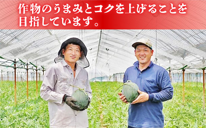 【先行予約】 肥後グリーンメロン 糖度16度以上 2玉 計約4.6kg【岡山農園】 [ZBY002]