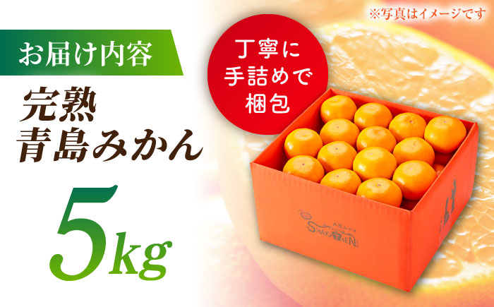 【先行予約】【年内発送は12月21日ご入金分まで！】完熟 青島 みかん 約5kg【合同会社 社方園】 [ZBZ003]