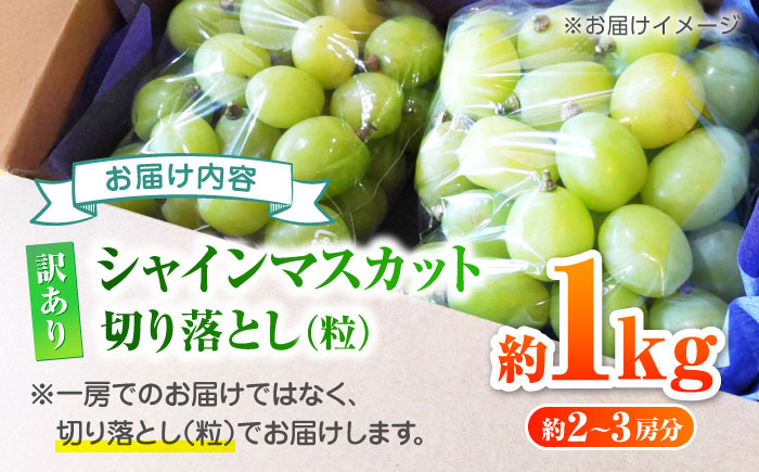 【先行予約】 訳あり シャインマスカット 切り落とし 約1kg  【合同会社 社方園】 シャインマスカット 切り落とし 家庭用 ぶどう 熊本 [ZBZ006]