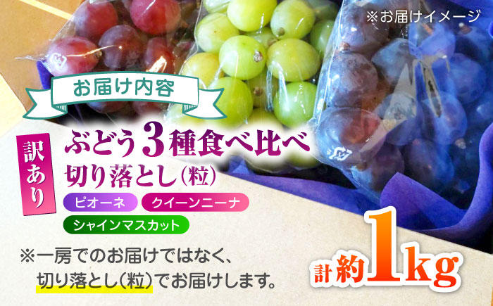 【先行予約】 訳あり ぶどう3種 食べ比べ 切り落とし 計約1kg  【合同会社 社方園】  ぶどう 詰め合わせ 熊本 訳あり 3種 セット 食べ比べ [ZBZ009]