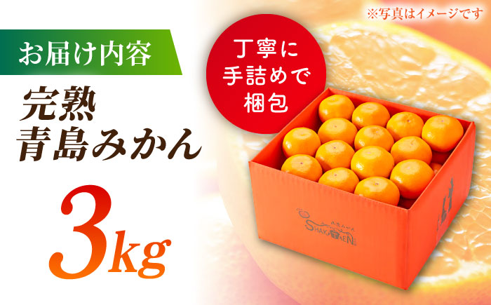 【先行予約】【年内発送は12月21日ご入金分まで！】完熟 青島 みかん 約3kg【合同会社 社方園】 [ZBZ011]