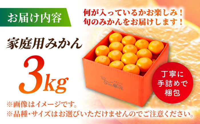 【先行予約】【年内発送は12月21日ご入金分まで！】【訳あり】家庭用 みかん 約3kg 詰め合わせ 柑橘【合同会社 社方園】 [ZBZ020]