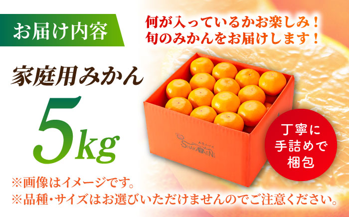 【先行予約】【年内発送は12月21日ご入金分まで！】【訳あり】家庭用 みかん 約5kg 詰め合わせ 柑橘【合同会社 社方園】 [ZBZ021]