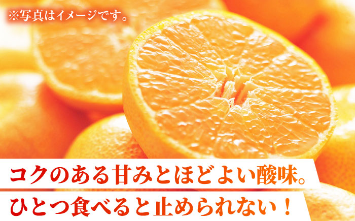 専用ページ　みかん☆様　ありがとうございます！ 福岡県産 みかん 華たちばな(いしじ)糖度12度以上(お届け期間