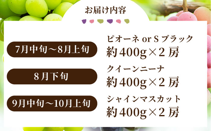 【2026年発送先行予約】【3回定期便】ぶどうの宝石 3色 定期便 約400g×2房【合同会社 社方園】 [ZBZ026]