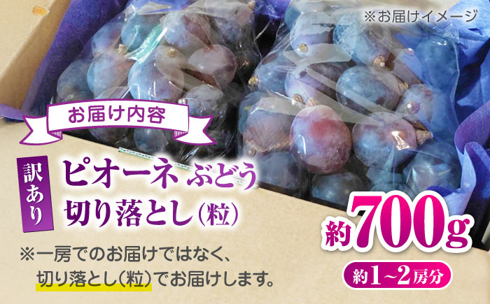 【先行予約】 訳あり ピオーネ ぶどう 切り落とし 約700g  【合同会社 社方園】 [ZBZ037]