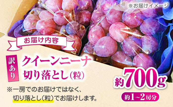 【2026年発送先行予約】訳あり クイーンニーナ ぶどう 切り落とし 約700g  【合同会社 社方園】 [ZBZ039]