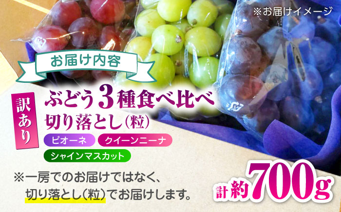 【先行予約】 訳あり ぶどう3種 食べ比べ 切り落とし 計約700g  【合同会社 社方園】 [ZBZ040]