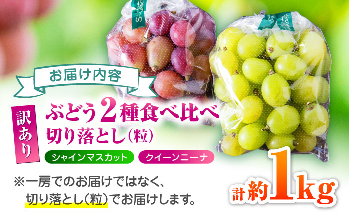 【先行予約】 訳あり 紅白ぶどう2種（シャインマスカット＆クイーンニーナ）食べ比べ 切り落とし 計約1kg  【合同会社 社方園】 [ZBZ041]