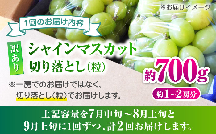 【先行予約】【2回定期便】 訳あり シャインマスカット 切り落とし 約700g  【合同会社 社方園】 [ZBZ043]