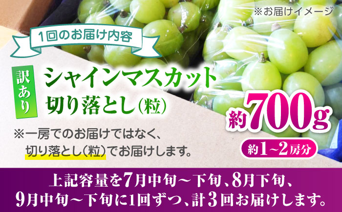 【先行予約】【3回定期便】 訳あり シャインマスカット 切り落とし 約700g  【合同会社 社方園】 [ZBZ046]