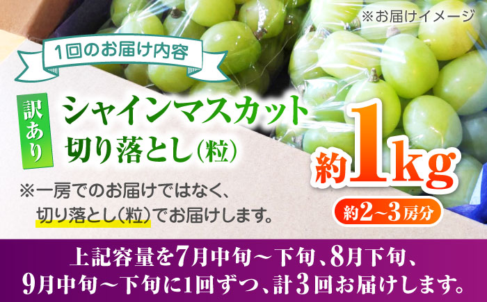 【先行予約】【3回定期便】 訳あり シャインマスカット 切り落とし 約1kg  【合同会社 社方園】 [ZBZ047]