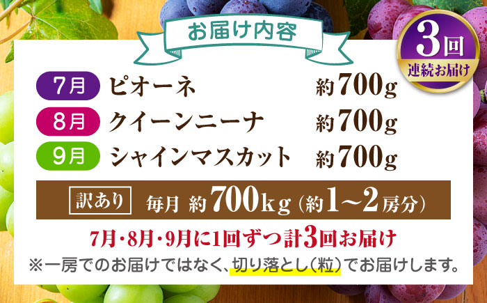 【先行予約】【3回定期便】 訳あり 毎月違うぶどうをお届け！ ぶどう3種 食べ比べ 切り落とし 約700g 【合同会社 社方園】 [ZBZ048]