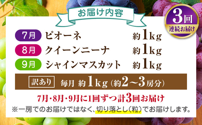 【先行予約】【3回定期便】 訳あり 毎月違うぶどうをお届け！ ぶどう3種 食べ比べ 切り落とし 約1kg  【合同会社 社方園】 [ZBZ049]