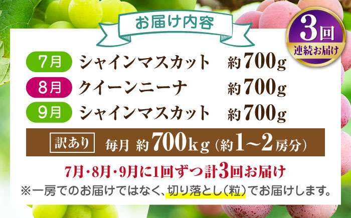 【先行予約】【3回定期便】 訳あり 毎月1種類ずつお届け！ 紅白ぶどう2種 食べ比べ 切り落とし 約700g  【合同会社 社方園】 [ZBZ050]
