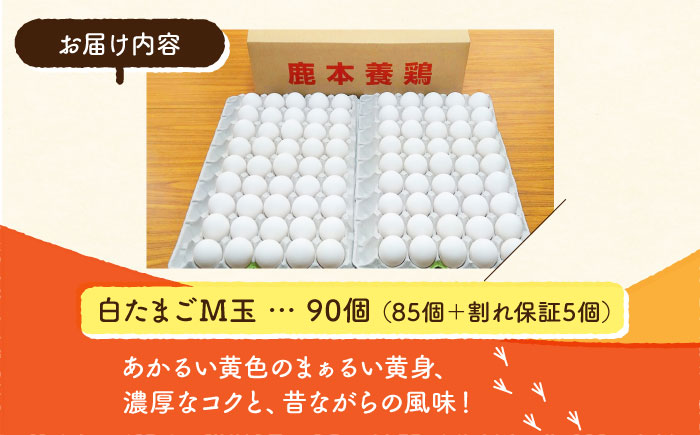 白たまご M玉 90個（85個＋5個割れ保証）【農事組合法人 鹿本養鶏組合】 [ZCA001]