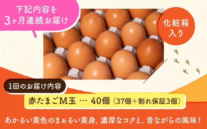 【全3回定期便】 【化粧箱入り】赤たまご M玉 40個 (37個＋割れ保証3個)【農事組合法人 鹿本養鶏組合】 [ZCA003]