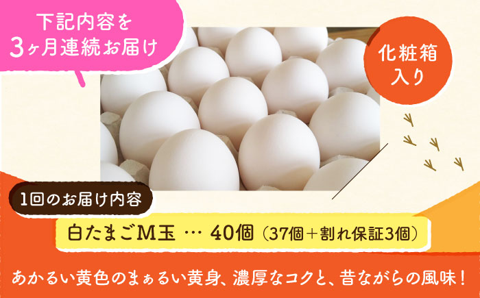 【全3回定期便】【化粧箱入り】白たまご M玉 40個（37個＋3個割れ保証）【農事組合法人 鹿本養鶏組合】 [ZCA010]