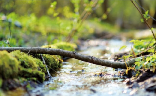 和王 モモ ステーキ 約400g【マイライフホールディングス 株式会社 】 [ZCF003]