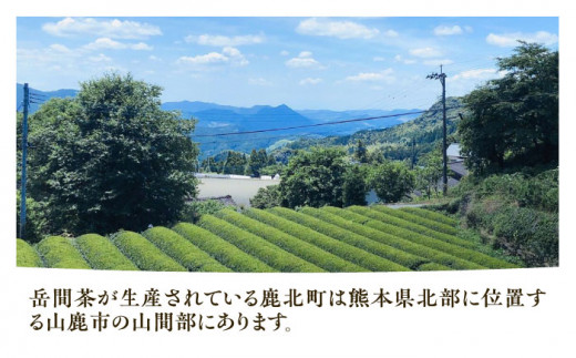 【先行予約】緑茶ティーバッグ 1袋5g×25包入×4袋入【岳間の郷ひがし】 [ZCH001]