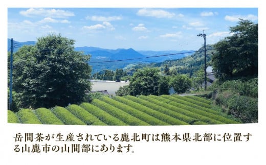 ティーバッグ 5種飲み比べセット 【岳間の郷ひがし】 [ZCH002]