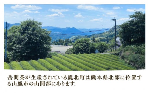 高級茶『山鹿市岳間茶』2袋ギフトセット 【岳間の郷ひがし】 [ZCH005]