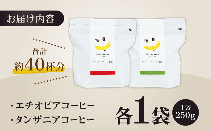 【豆のまま】自家焙煎 スペシャルティコーヒー 豆 （ 250g × 2種 ）約40杯分【かきやま果実】 [ZCJ015]