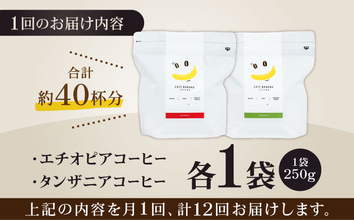【12回定期便】【豆のまま】自家焙煎 スペシャルティコーヒー 豆 （ 250g × 2種 ）約40杯分【かきやま果実】 [ZCJ020]