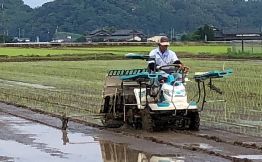 発芽玄米パウダー【株式会社 夢アグリ】 [ZCL010]