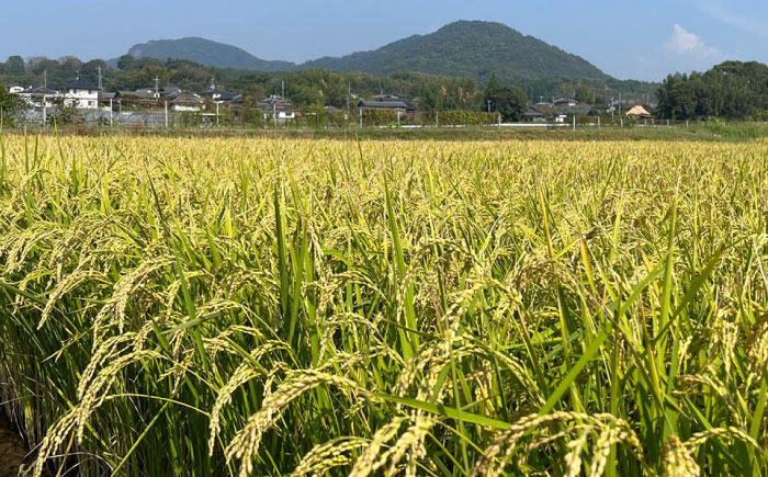 ぬか醤　200cc【株式会社 夢アグリ】 [ZCL013]