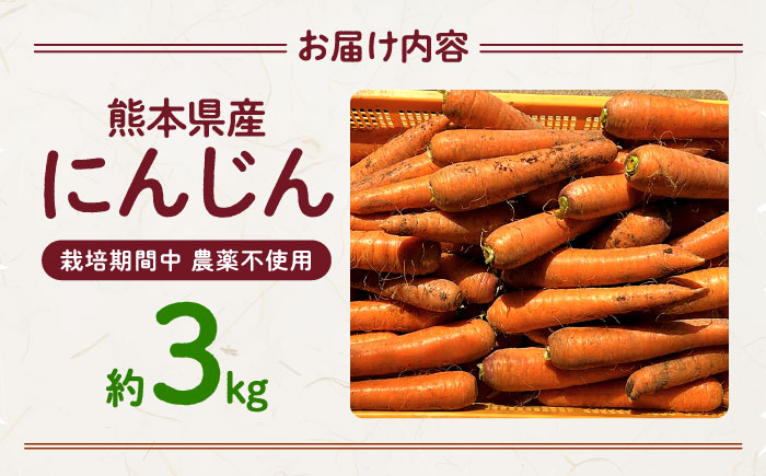 【先行予約】にんじん 約3kg 天日塩＆発酵土壌で作ったこだわりの人参 【株式会社 夢アグリ】 [ZCL018]