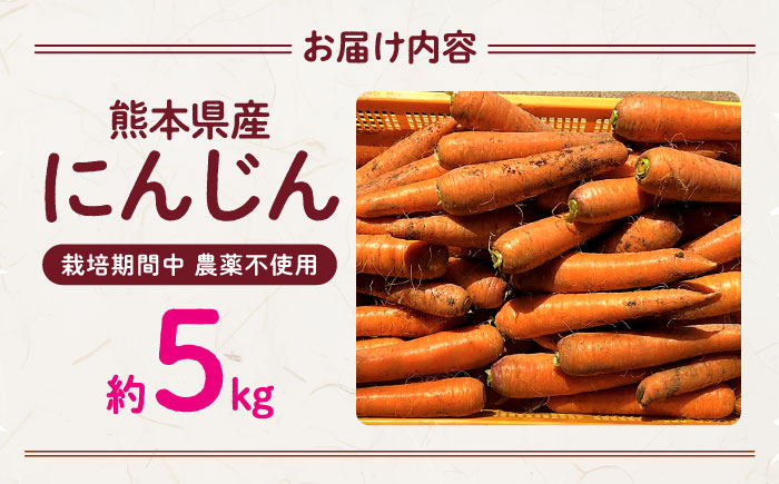 【先行予約】にんじん 約5kg 天日塩＆発酵土壌で作ったこだわりの人参 【株式会社 夢アグリ】 [ZCL019]
