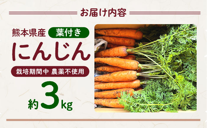 【先行予約】葉付きにんじん 約3kg　天日塩＆発酵土壌で作ったこだわりの人参 【株式会社 夢アグリ】 [ZCL020]