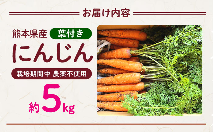 【先行予約】葉付きにんじん 約5kg　天日塩＆発酵土壌で作ったこだわりの人参 【株式会社 夢アグリ】 [ZCL021]