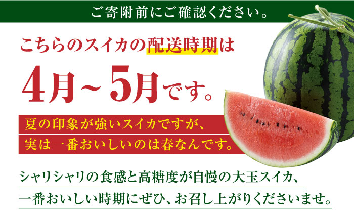 【先行予約】大玉 すいか LLサイズ【株式会社 前田ファーム】 [ZCM002]