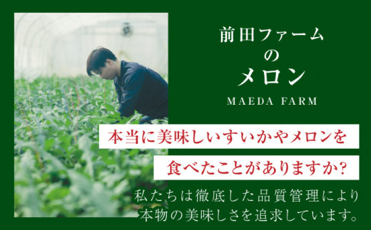 年内発送 クリスマスメロン セット【株式会社 前田ファーム】 [ZCM004]