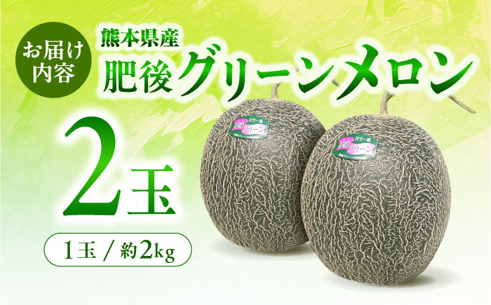 【先行予約】 肥後グリーン メロン 2玉【合同会社 福福堂】 [ZCN003]