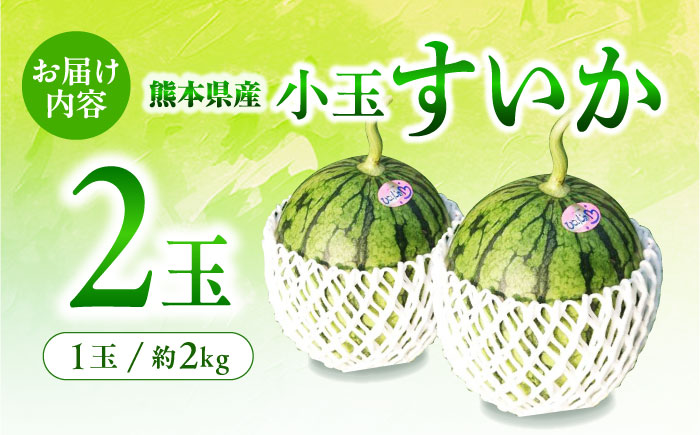 【先行予約】 小玉 すいか 2玉【合同会社 福福堂】 [ZCN005]