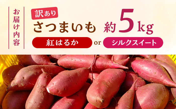 【年内発送は12月21日ご入金分まで！】 さつまいも 紅はるか or シルクスイート 蜜芋 5kg【合同会社 福福堂】 [ZCN013]
