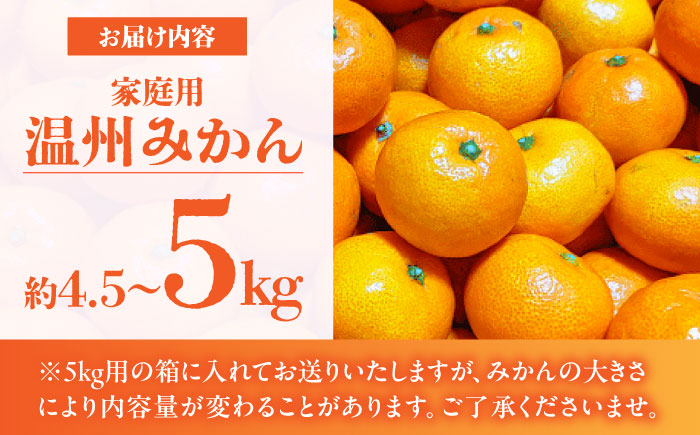 【訳あり】家庭用 温州 みかん 約4.5kg～5kg【合同会社 福福堂】 [ZCN014]