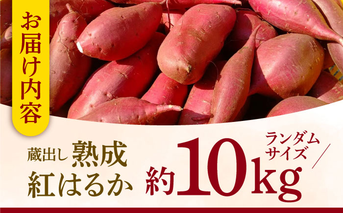 蔵出し 熟成 紅はるか さつまいも 約10kg サイズバラバラ 密 芋 【合同会社 福福堂】 [ZCN019]