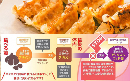 プレミアムにんにく餃子【株式会社 九州ファーム】 [ZCV001]