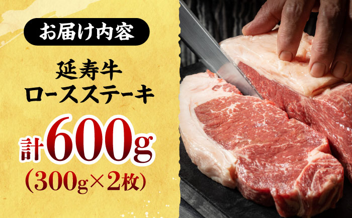熊本県産 延寿牛 あか牛 ロース ステーキ 約 300g×2枚【有限会社 九州食肉産業】 [ZDQ072]